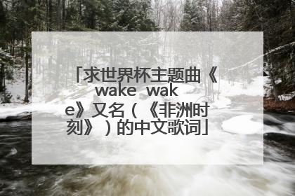 求世界杯主题曲《wake  wake》又名（《非洲时刻》）的中文歌词