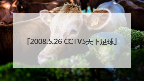 2008.5.26 CCTV5天下足球