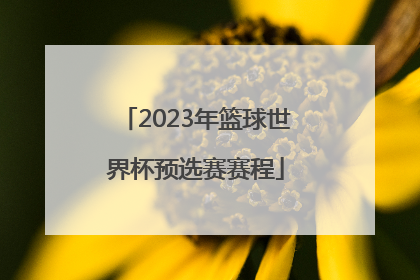 「2023年篮球世界杯预选赛赛程」中国男篮世界杯预选赛赛程时间表
