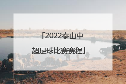 「2022泰山中超足球比赛赛程」2022中超足球比赛赛程广州队