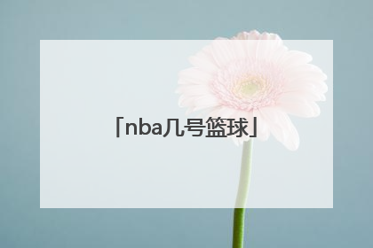 「nba几号篮球」Nba篮球大师破解版