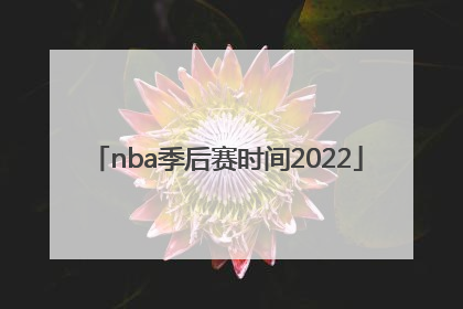 「nba季后赛时间2022」nba季后赛时间2022什么时候结束