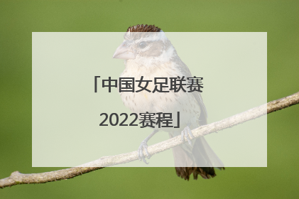 「中国女足联赛2022赛程」中国女足国家队赛程2022时间表