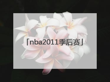 「nba2011季后赛」nba2011季后赛小牛vs热火